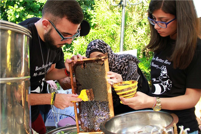 The importance of Bees: an event by Alice Eddé